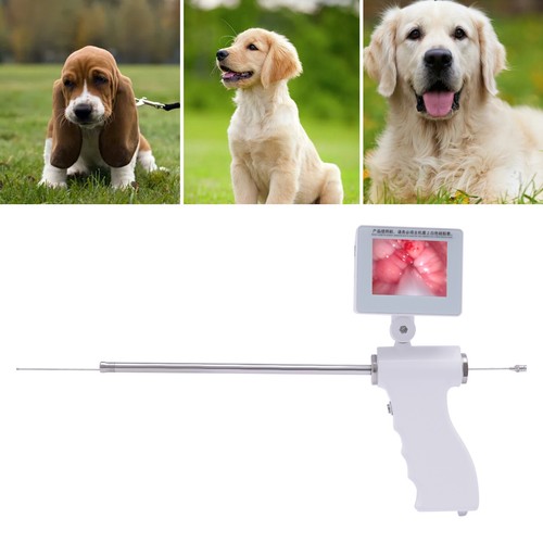 Visual dog artificial - dog,