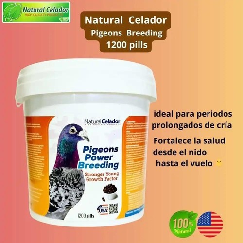 Natural celador pigeons power - pigeons,
