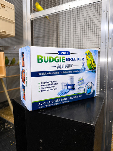 Acm budgie aviary artificial - acm-budgie-aviary,