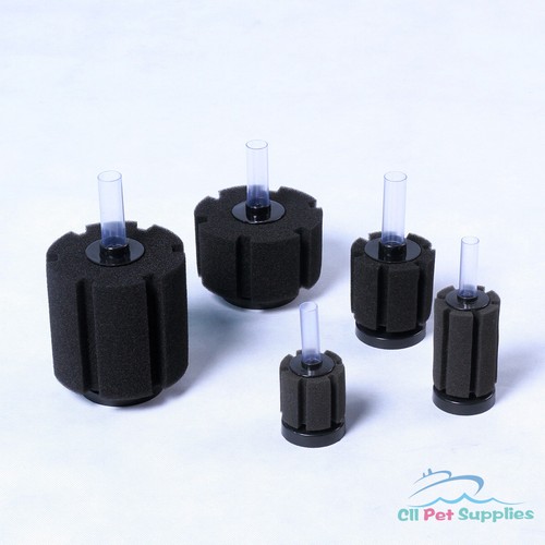 Bio sponge filter breeding - sponge,