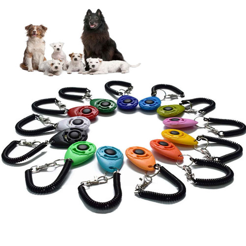 Dog training clicker - dog,