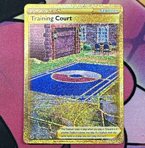 Training court 282 - training,